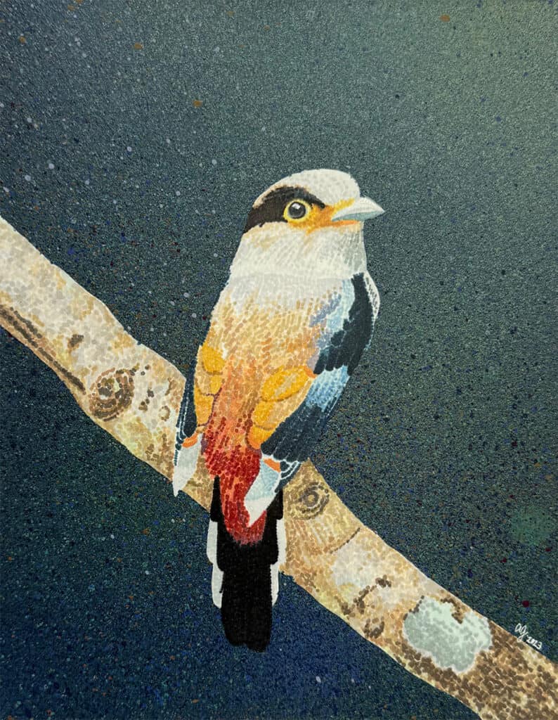 "Silver-Breasted Broadbill" | Mixed Media Stippling | 10 x 8"